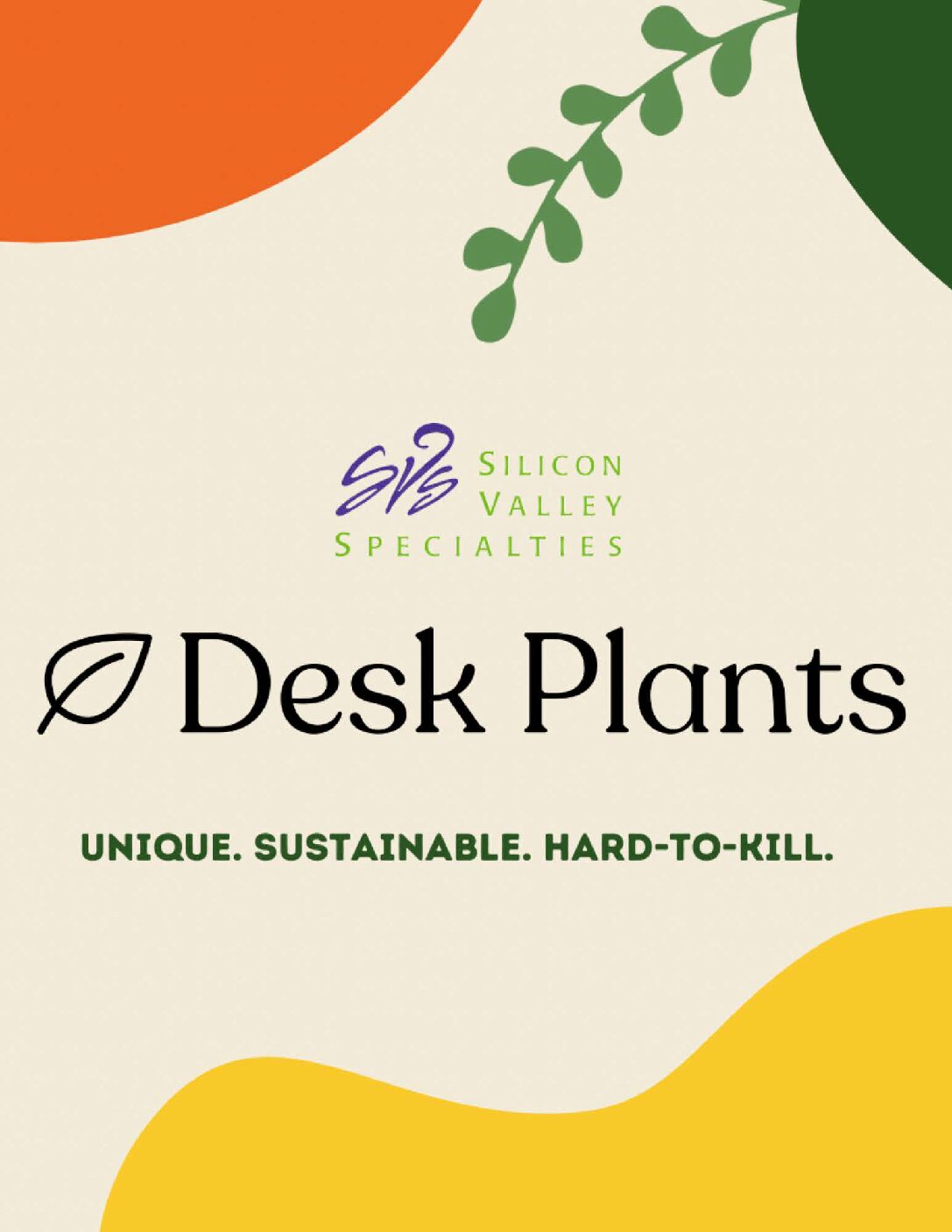 Desk Plants